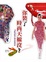 Cover of '你裝了時尚天線沒？'