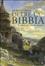 Cover of Oltre la Bibbia. Storia antica di Israele