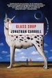 Cover of Glass Soup
