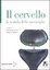 Cover of Il cervello. La scatola delle meraviglie 