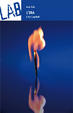 Cover of L'ira