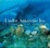 Cover of "Under Antarctic Ice"