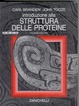 Cover of Introduzione alla struttura delle proteine