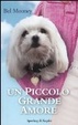 Cover of Un piccolo grande amore