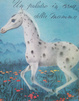 Cover of Un puledro in cerca della mamma