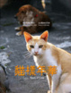 Cover of 貓樣年華