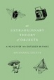 Cover of An Extraordinary Theory of Objects