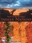 Cover of Foods of the Southwest Indian Nations