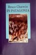 Cover of In Patagonia