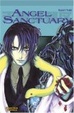 Cover of Angel Sanctuary