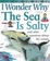 Cover of "I Wonder Why the Sea is Salty"