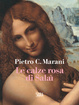Cover of Le calze rosa di Salaì