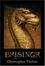 Cover of Brisingr
