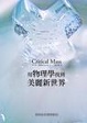 Cover of 用物理學找到美麗新世界 Critical Mass