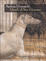 Cover of I fuochi di san Giovanni