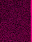 Cover of Yayoi Kusama: metamorfosi