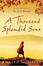 Cover of A Thousand Splendid Suns