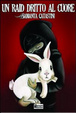 Cover of Un raid dritto al cuore