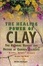 Cover of The Healing Power Of Clay