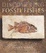 Cover of Discovering Fossil Fishes