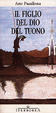 Cover of Il figlio del dio del Tuono