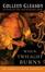 Cover of "When Twilight Burns"