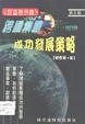 跨國集團－成功發展策略