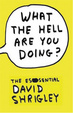 Cover of What the Hell are You Doing?