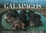Cover of Spectacular Galapagos