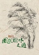Cover of 風從樹林走過