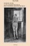 Cover of Introduzione a una fenomenologia dell'interno architettonico