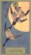 Cover of Il disegno del piviere