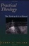 Cover of "Practical Theology"