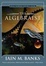Cover of "The Algebraist"