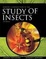 Cover of 'Borror and DeLong's Introduction to the Study of Insects'