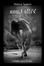 Cover of Villa Luna, anul alliV