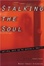 Cover of "Stalking the Soul"