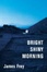 Cover of Bright Shiny Morning Intl