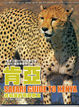 Cover of 肯亞