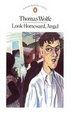 Cover of Look Homeward, Angel