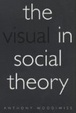 Cover of The Visual in Social Theory