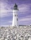 Cover of Lighthouses