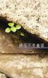 Cover of 癌症不是盡頭