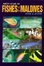 Cover of Photo Guide to Fishes of the Maldives