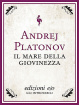 Cover of Il mare della giovinezza