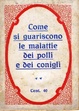 Cover of Come si guariscono le malattie dei polli e dei conigli