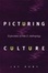 Cover of "Picturing Culture"