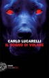 Cover of Il sogno di volare