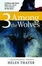 Cover of "3 Among the Wolves"