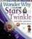 Cover of "I Wonder Why Stars Twinkle"